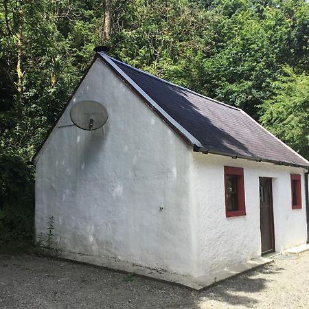 Traditional 18Th Century Converted Stables Wexford Kültér fotó
