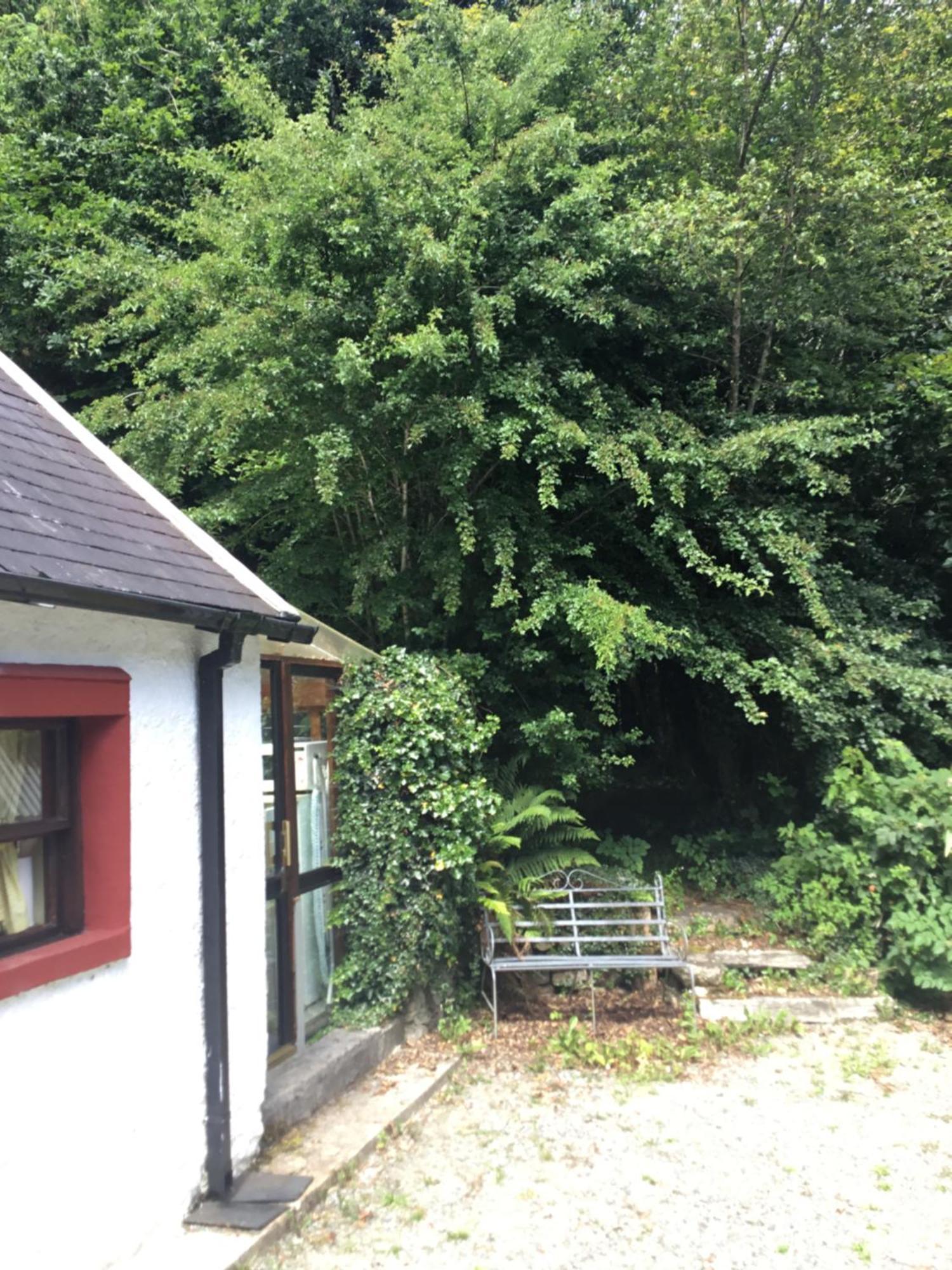 Traditional 18Th Century Converted Stables Wexford Kültér fotó